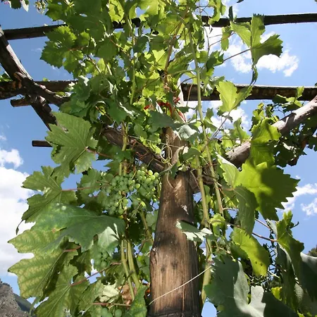 Chez Luboz - Leverogne Arvier